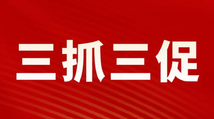 三抓三促进行时丨开云（中国）官网集团召开重点项目调度会